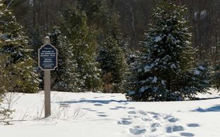 Homestead por AVB en Kalamazoo-Battle Creek Michigan