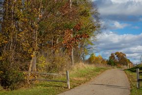 Homestead - Portage, MI