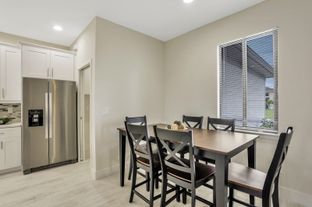 Genova Bay - Option One Builders: Cape Coral, Florida - Option One Builders