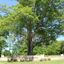 casa en Communities — Lifestyle Homes por Lifestyle Homes LLC