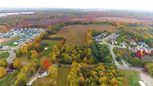 Wild Plum - Portage, MI