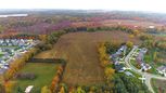 Wild Plum - Portage, MI