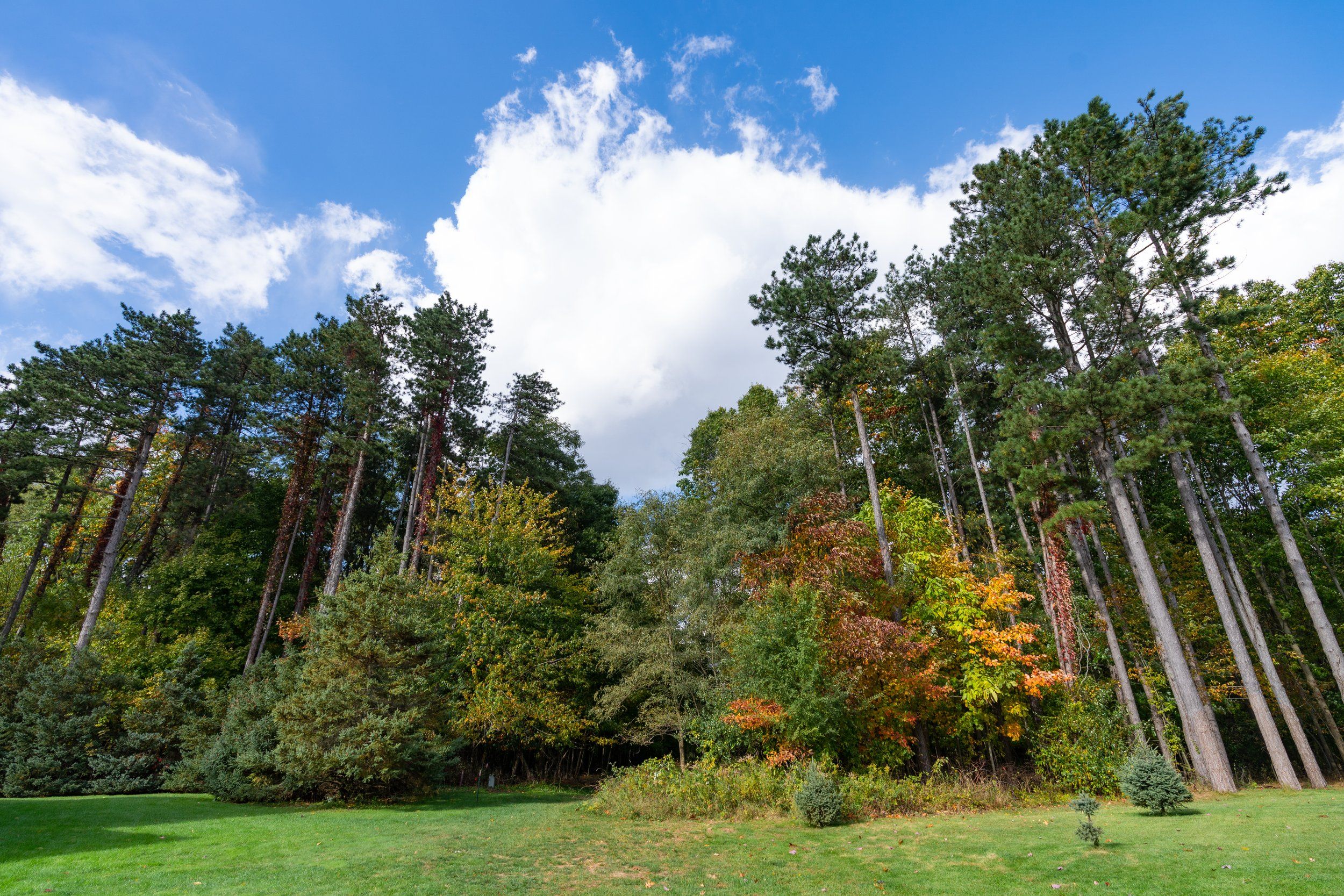 Mcconley Cove - Portage, MI