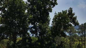 33526 Tiderunner Ave (Plan Unknown)