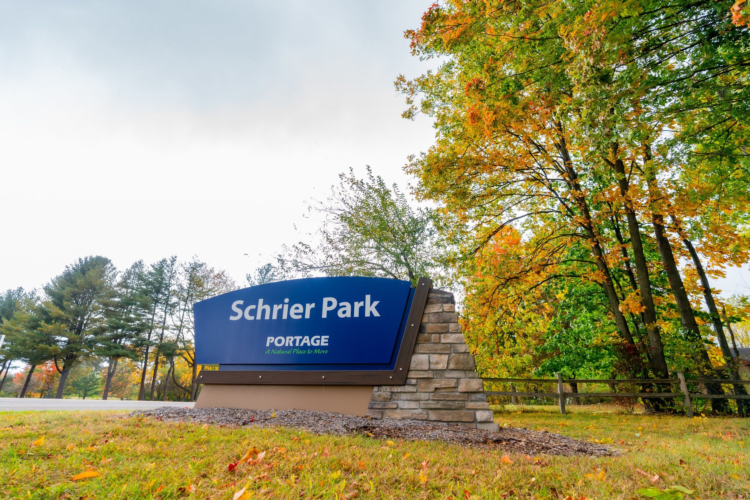 Wild Plum - Portage, MI