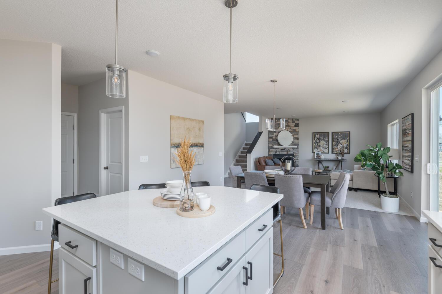 Pheasant Run por LOOMIS HOMES en Minneapolis-St. Paul Minnesota