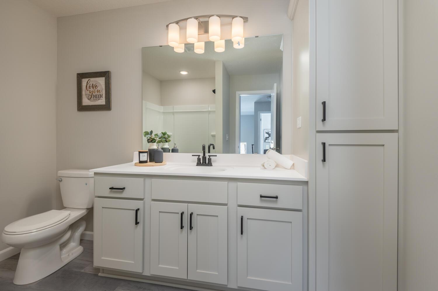 Pheasant Run por LOOMIS HOMES en Minneapolis-St. Paul Minnesota