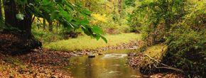 Winding Creek - New Hope, PA