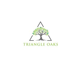Triangle Oaks por Mountain Cove Home en Miami-Dade County Florida