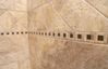 casa en Midwest Quality Builders por Midwest Quality Builders