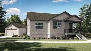 Marigold - Taft Gardens: Loveland, Colorado - Insignia Homes, Ltd.