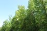 casa en Fieldstone Farms — Lifestyle Homes por Lifestyle Homes LLC