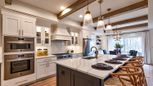 Harmon Grove - Niskayuna, NY