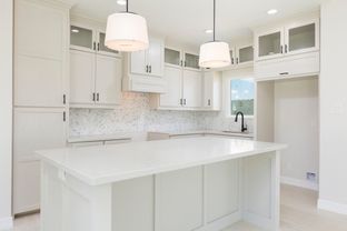 Dynasty Custom Homes por Dynasty Custom Homes en Rio Grande Valley Texas