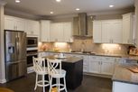 Huron Woods by Chestnut Home Builder in Ann Arbor Michigan