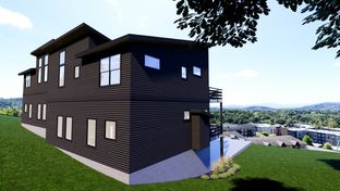 Reynolds Mountain VS por Buchanan Construction LLC en Asheville North Carolina
