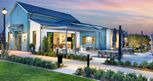 Nuvo Parkside by  Hamilton Thomas Homes in Riverside-San Bernardino California