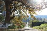 Willamette District - West Linn, OR