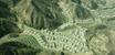 casa en Capital Pacific Homes por Capital Pacific Homes