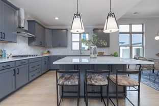 The Callie 3 A - Bradbury At Blackridge: Birmingham, Alabama - Signature Homes