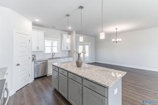 Plan Unknown - The Fairways: Meridianville, Tennessee - Newcastle Homes.