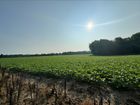 The Beachwoods — Avb Homes & Communities - Portage, MI
