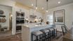 casa en Enclave At Logan Point por Chafin Communities