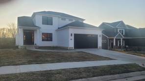 The Angel Haven Plan