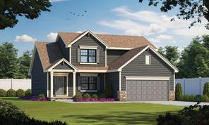 The Angel Haven Plan