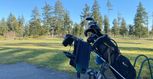 The Classic Enclave - Spanaway, WA