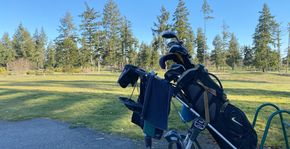 The Classic Enclave - Spanaway, WA