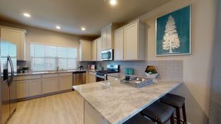 Rollingbrook Estates por Colina Homes en Houston Texas