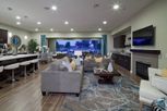 The Open Collection - Litchfield Park, AZ