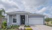 casa en Coastal Gardens At Town Center por Paytas Homes