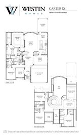 Carter IX - Nolina: Georgetown, Texas - Westin Homes