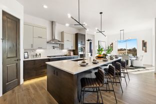Camden FP - The Aurora Highlands: Aurora, Colorado - Bridgewater Homes