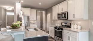 Remington Grove por KLM Builders Inc en Chicago Illinois