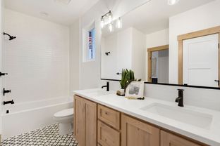 Adeline 55 - Prairie Song: Windsor, Colorado - Bridgewater Homes