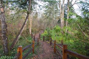 Avaya Trails - Renton, WA