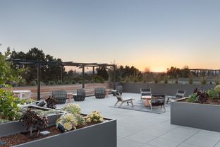 Star Harbor Apartments por Strada Investment Group en Oakland-Alameda California