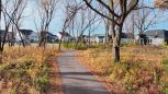 Arbor Ridge - Woodbury, MN