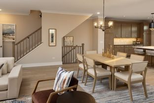 Juniper - New Hin Northbrook, IL: Northbrook, Illinois - Lexington Homes