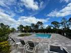 Winding Bay - Winter Garden, FL