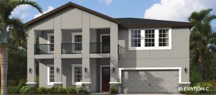 Michelangelo Home Builder IN Pasco Hernando Counti - Hidden Ridge (new Community): New Port Richey, Florida - Vitale Homes