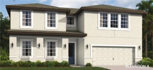 Michelangelo Home Builder IN Pasco Hernando Counti - Hidden Ridge (new Community): New Port Richey, Florida - Vitale Homes