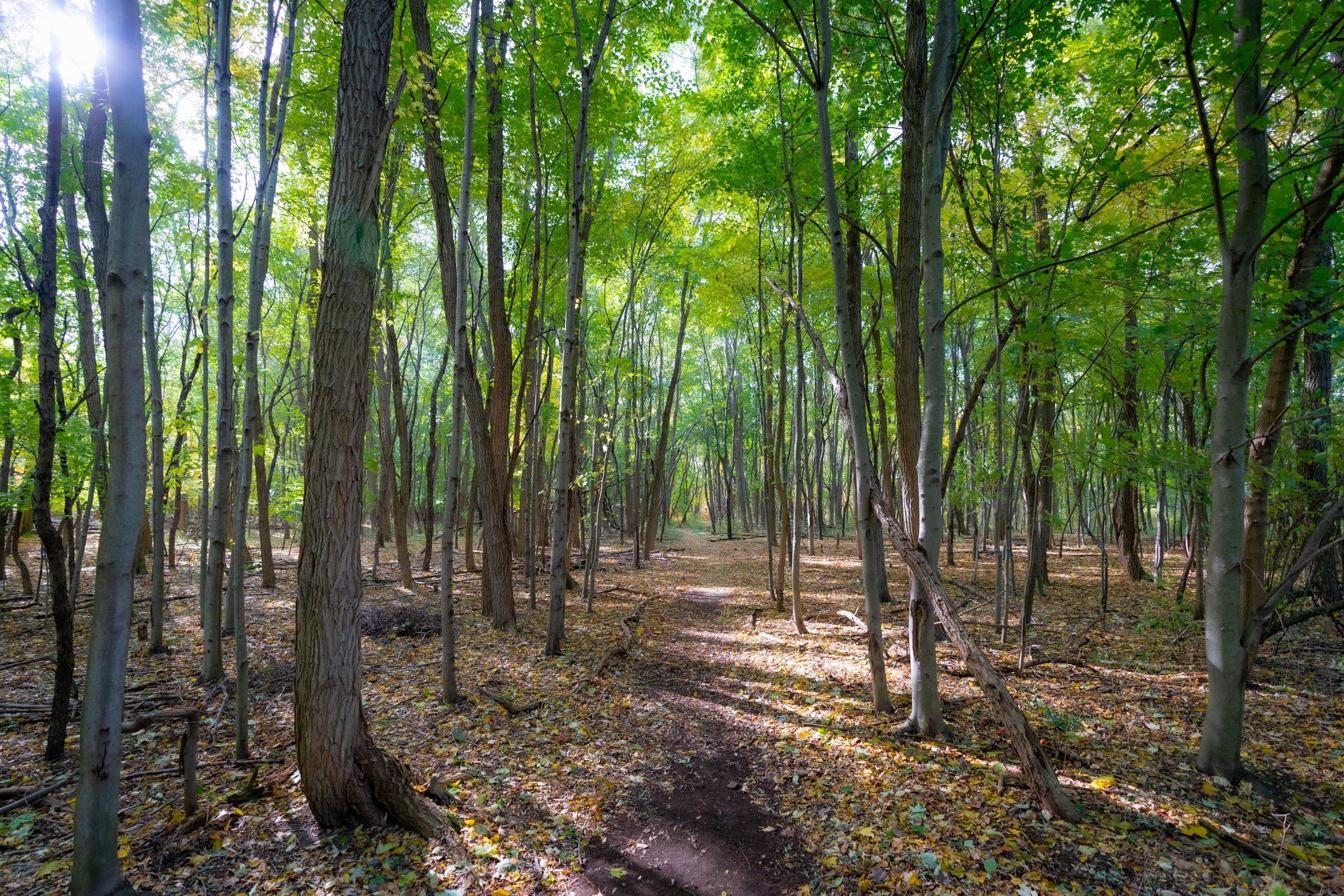 Mcconley Cove por AVB en Kalamazoo-Battle Creek Michigan