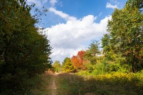 Mcconley Cove - Portage, MI