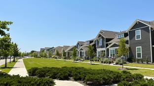 Homestead At Liberty Grove por Arcadia Realty Corp en Dallas Texas