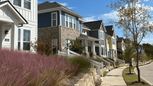 Thomas Place - Carrollton, TX