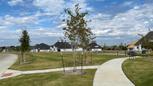Kensington Place - Carrollton, TX